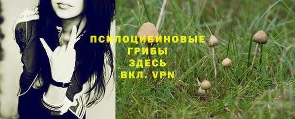 бутират Баксан