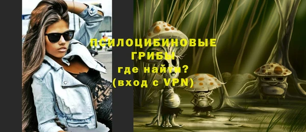 apvp Балахна