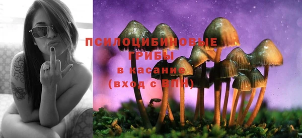 трава Балабаново
