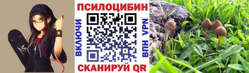 мега онион  Красавино  даркнет клад  Галлюциногенные грибы прущие грибы 
